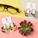 Tortoise Belle Earrings