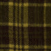 Autumn Plaid Scarf - Green